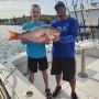 Book an Unforgettable Afternoon Reef Trip in Pompano Beach