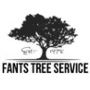 Affordable Tree Cutting Services near me Charlottesville