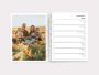 Plan Your Whole Week with LifePhoto's Weekly Planner Collect