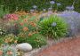 Blossom with Beauty: Install Flowerbeds in Houston