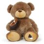 Adorable Small Brown Teddy Bear for Cuddly Moments
