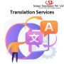 Get Effective Software Translation Service for Your Business