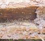 Termite Protection Adelaide