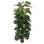 Maintenance-Free Artificial Topiary Trees For Indoor and Out