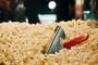 Premium Popcorn Manufacturer in Australia - Taste the Qualit
