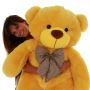 Shop Trendy Orange Teddy Bear Gifts Online