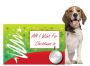 START SELLING PET PROTECTOR. XMAS SPECIAL START UP OFFER