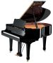 Your Trusted Store to Buy Yamaha Grand Pianos in Australia