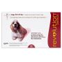 Buy Revolution Red For Medium Dogs at Lowest Price
