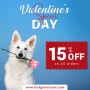 Don't Miss Out on Love Savings Enjoy15% Off at Budgetvetcare