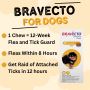 At Budgetvetcare Buy Bravecto at the Lowest Price!