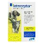 Buy Interceptor for Medium Dogs 26-50LBS [Yellow] Online