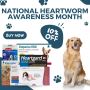 Heartworm Awareness Month- DiscountPetMart Offers 10% Off 