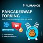 DeFi Delight: PancakeSwap Forking Black Friday Extravaganza 