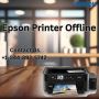Epson Printer Offline | +1-844-892-5742 | Epson Printer Supp