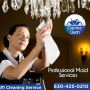 Maid services in chicago