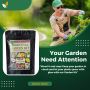 "Transform Your Backyard into a Natural Pharmacy with Our Me