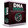 DNA Scalper - Highly Converting Forex Product Digital - Soft
