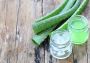 Incorporating Aloe Vera Juice Into Your Diet