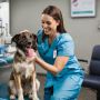 Dog Wellness Exam | Atlas Pet Hospital