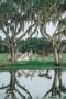 Nature's Charm: Rustic Barn Weddings in Florida