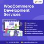BeePlugin's Custom WooCommerce Development Services
