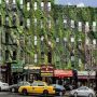 Best Preserved Green Wall New York