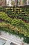 Best living Wall Design Decoration NYC