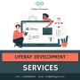 Get the Best Liferay Developer for Your Software Requirement