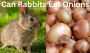 Can Rabbits Eat Onions | FarmingHeaven.com