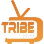 Which is the best tribe IPTV service in the USA, and why?