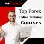 Top Forex Online Training Courses 
