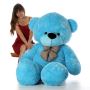 Buy Our Light Blue Teddy Bear Online at Giant Teddy