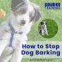 How to Stop Dog Barking- Know the Complete Guide! 