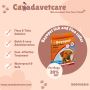 Canadavetcare : Enjoy 20% of on Bayopet tick and Flea collar