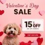 Valentine's Day Sale: Save 15% off on All Pet Supplies