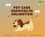 Premium Pet Care Services in Arlington | Pawnanny 