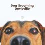 Lewisville's Trusted Choice for Dog Grooming: Paw Oasis Pet 