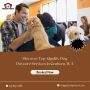 Discover Top-Quality Dog Daycare Services in Graham, WA