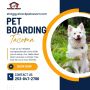 Pet Boarding Services in Tacoma, WA