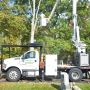 Top Choice for Expert Tree Removal Services in CT