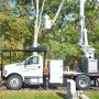 Tree Removal Company CT