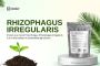 Rhizophagus Irregularis for Healthy Crops - 10% Off