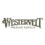 Deer Hunting Clubs in Alabama & Virginia Westervelt wildlife