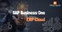 The Best SAP ERP Cloud Solution for Businesses in India.