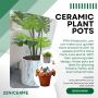 Ceramic Plant Pots | Garden Planter Pot