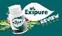 Does exipure really work? 