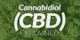 "...CBD Market Projected to Surge." 