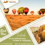 Unveiling the Mystique: Best Jaisalmer Desert Safari Tours with Sankalp Voyages