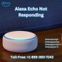 Alexa Echo Not Responding |+1-855-393-7243| Alexa Support